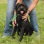 Sammy03-10.jpg