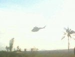 Atmospheric phenomenon Helicopter Rotorcraft Flip (acrobatic) Tree